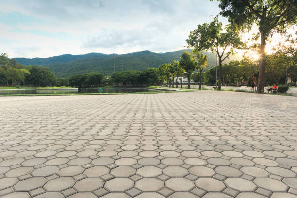 Best Brick Driveway Pavers  in Savanna, IL