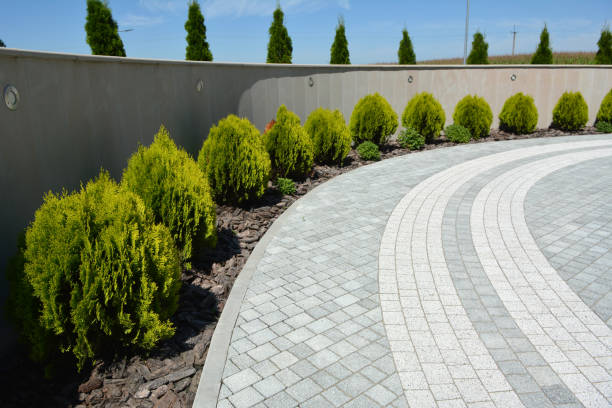 Reasons to Select Us for Your Driveway Paving Requirements in Savanna, IL